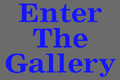 enter the gallery